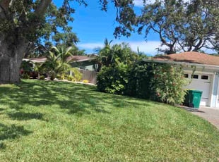 Karuna R.'s grass cutting service result