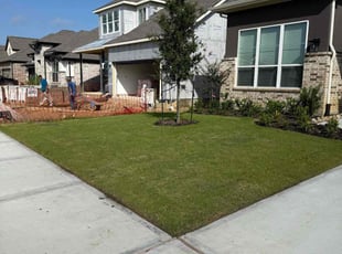 Sumei R.'s grass cutting service result