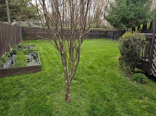 Steven D.'s lawn care services service result