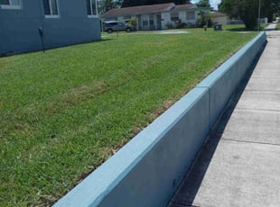 Ashley N.'s grass maintenance service result