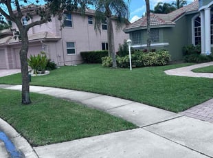 Todd G.'s grass maintenance service result