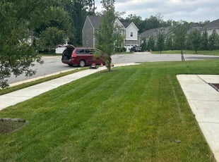 Pam D.'s lawn service service result