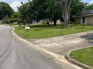 Neil Z.'s turf maintenance service result
