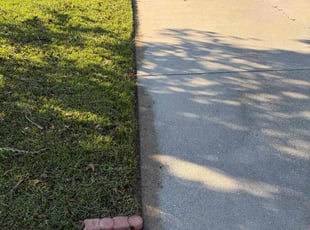 Luequayantae W.'s Long Grass Cleanup service result