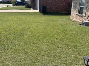 Sabrina B.'s grass cutting service result