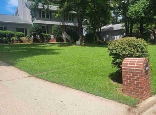 Desmond W.'s turf care service result