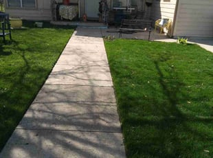 Rachel H.'s lawn care service result