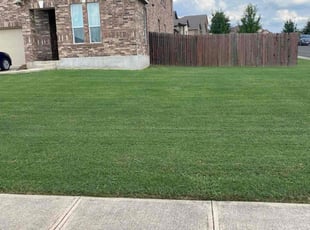 Gustavo S.'s lawn maintenance service result