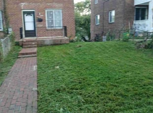 Karthikeyan S.'s lawn maintenance service result