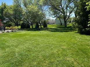 Christopher M.'s turf care service result