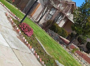 Max M.'s lawn care service result