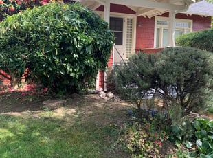 Beverly B.'s Bush Trimming service result