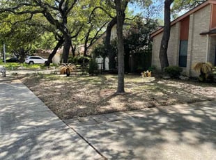 Cheryl M.'s grass cutting service result