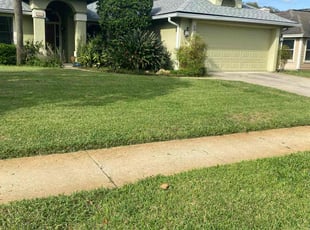 James J.'s grass cutting service result