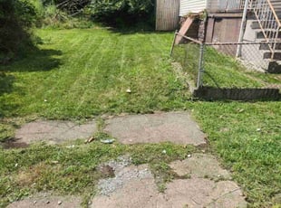 Rowena P.'s grass cutting service result
