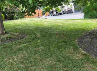 Lela C.'s grass maintenance service result