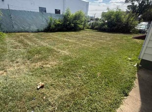 Yaroslava G.'s grass maintenance service result