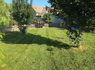 Matt J.'s lawn care services service result