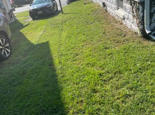 Carl A.'s lawn maintenance service result