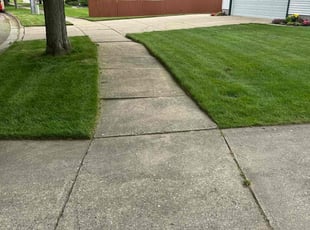 Beth R.'s lawn care service result