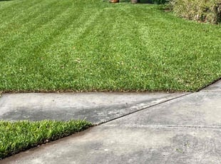 James P.'s turf maintenance service result