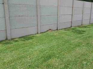 Rebecca L.'s lawn service service result