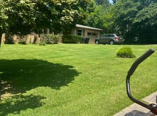 Chris T.'s turf care service result