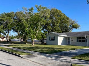 Bertand P.'s lawn care service result