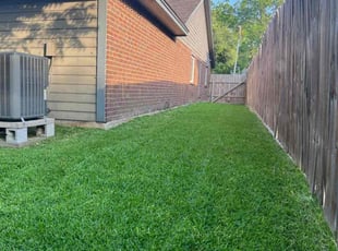 Hector C.'s grass maintenance service result