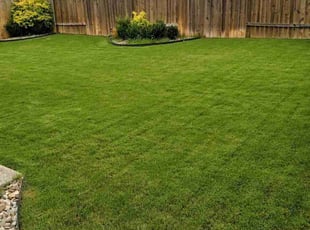 Cynthia L.'s lawn care services service result