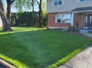Nazarena F.'s lawn service service result
