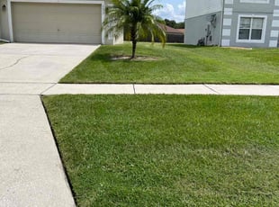 Angelica S.'s turf care service result