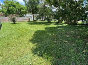 Dave M.'s turf maintenance service result