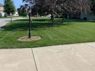 Russ H.'s turf maintenance service result