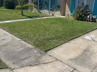David E.'s yard care service result