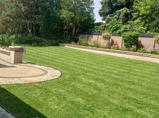 David J.'s turf care service result