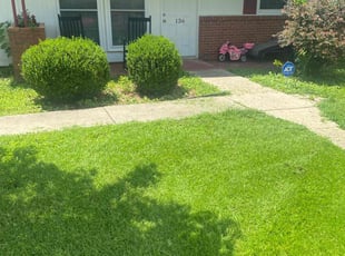 Brian C.'s lawn care services service result