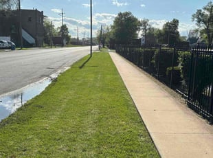 Raven H.'s grass cutting service result