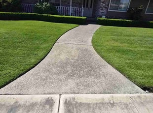 Shea C.'s grass cutting service result