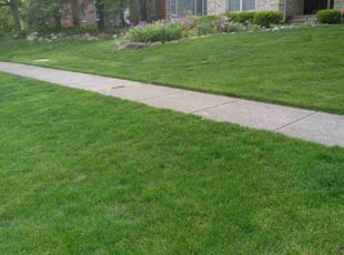 Heidi N.'s lawn care service result