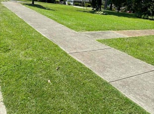 Christopher F.'s grass cutting service result