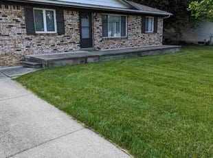Al B.'s lawn maintenance service result