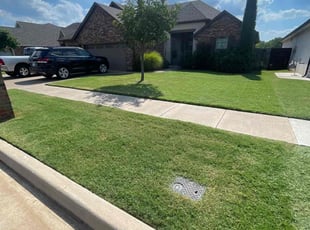 Manar S.'s Long Grass Cleanup service result