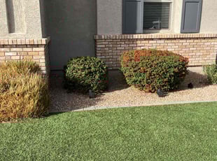 Omar B.'s lawn care services service result