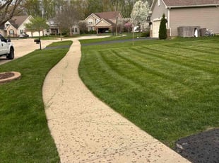 Terri G.'s lawn care services service result