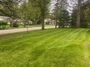 Keji X.'s lawn service service result