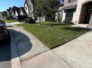 Paula D.'s lawn maintenance service result