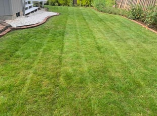 Lee M.'s lawn care services service result