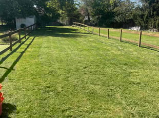 Vicki S.'s lawn care service result
