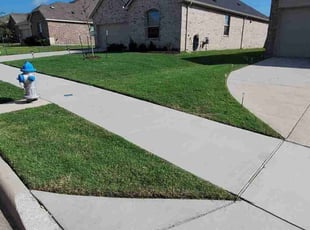 Adam B.'s lawn care service result